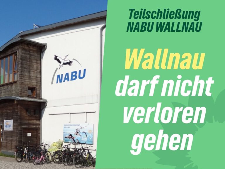NABU darf Verantwortung für Wallnau nicht auf den Naturschutz begrenzen